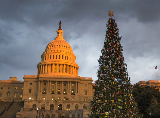 U.S. Capitol Christmas Tree