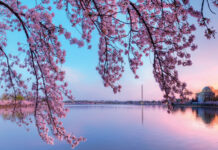 National Mall Tidal Basin