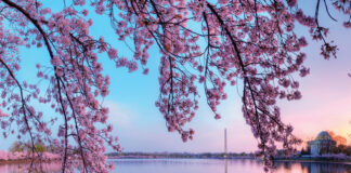National Mall Tidal Basin