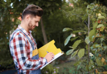 spring tree services