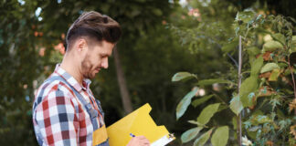 spring tree services