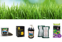 organic and natural products