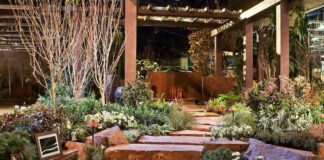 Flower & Garden Shows