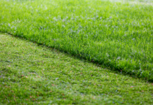 mower maintenance