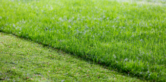 mower maintenance