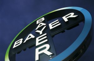 Bayer