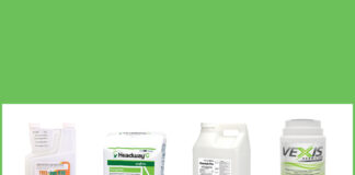 Herbicides, Insecticides, Fungicides