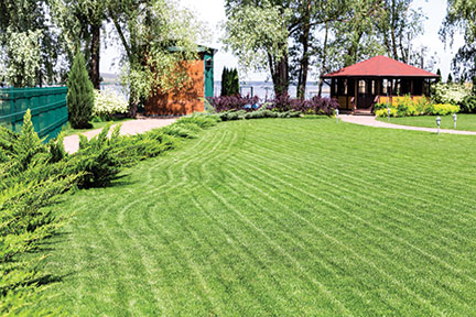 mowers