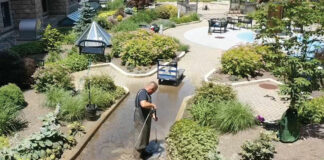 hardscape maintenance