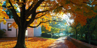 Denison University
