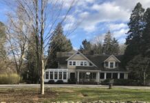 tree transplants
