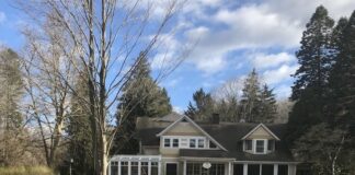 tree transplants