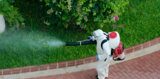 PPE