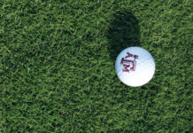 turfgrass