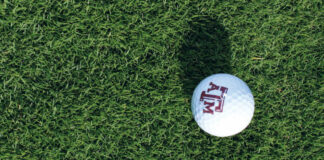 turfgrass