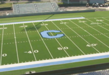 synthetic turf