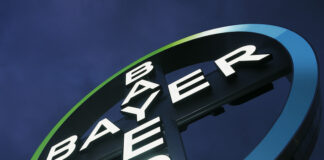 Bayer's NOW