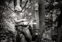 Chainsaw
