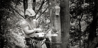 Chainsaw