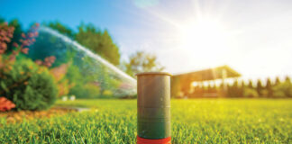 irrigation