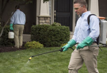 turfgrass disease