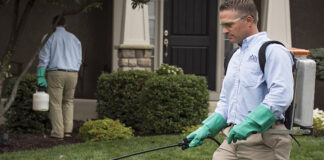 turfgrass disease