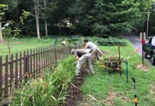 Project EverGreen
