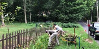 Project EverGreen