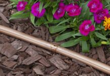 drip irrigation