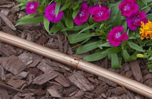 drip irrigation