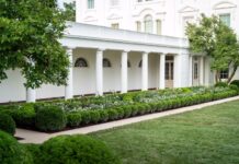 rose garden