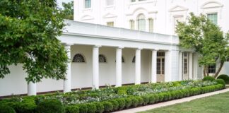 rose garden