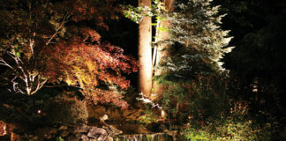 landscape lighting