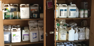 applying pesticides