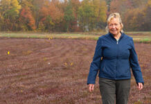 cranberries