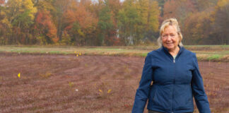 cranberries
