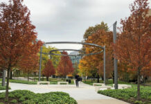 tree selection