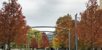 tree selection