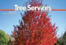 Tree Services 2020