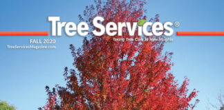 Tree Services 2020