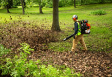 ECHO PB-9010 backpack blower