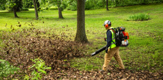ECHO PB-9010 backpack blower