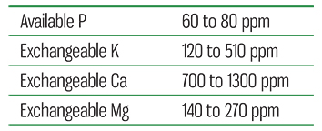 soil tests