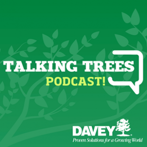 Talking Trees