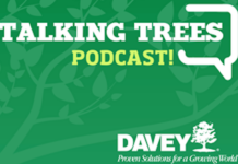 Talking Trees