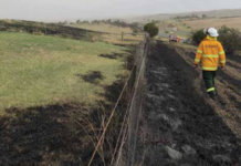 bushfires