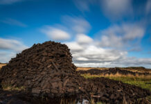 peat