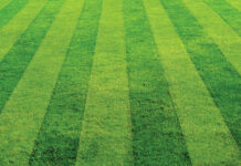 mowing practices