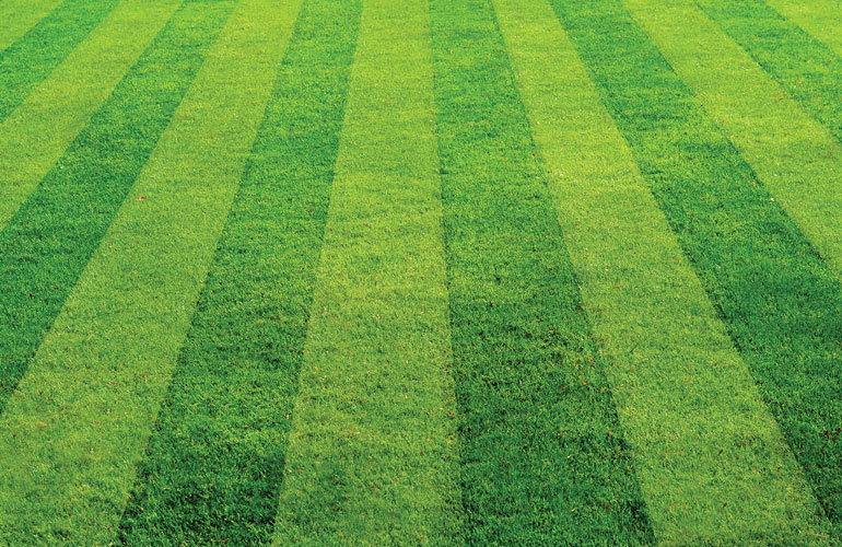mowing practices
