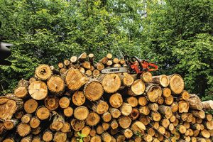 landscaping handheld equipment